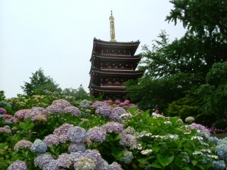 本土寺の5重の塔