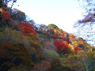 梅が瀬渓谷