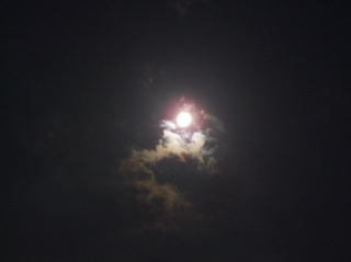 2007年仲秋の名月1