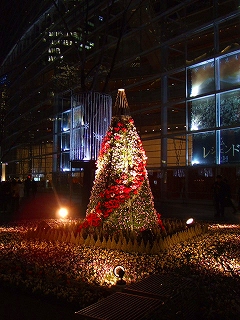 東京フォーラムのクリスマスツリー