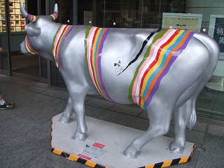 cow 9Cycles