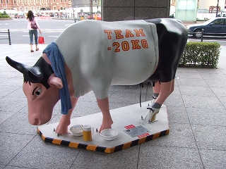 cow ガンバレ! 丸の牛 2008