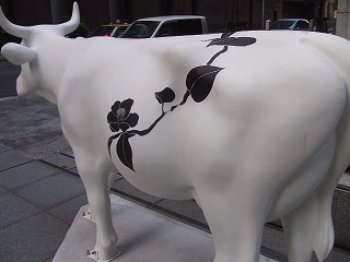 cow 白二蕾ノ図1