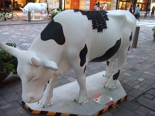 cow COWMUNITY1