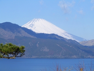 恩賜箱根公園から見る富士