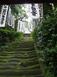 杉本寺苔の石段