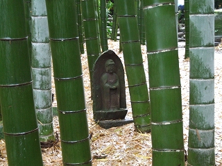 報国寺竹の庭