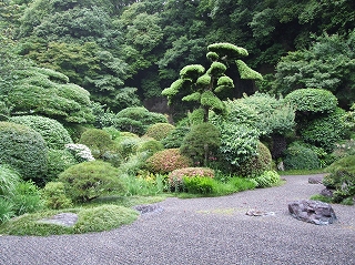 報国寺の庭