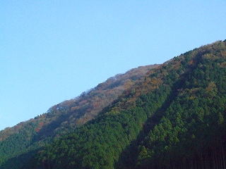 山の紅葉