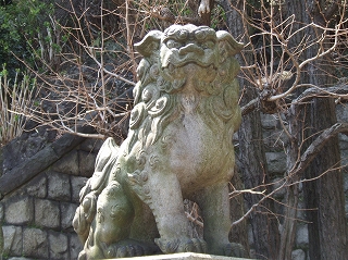 品川神社 石段下の狛犬